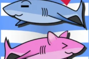 krkr模拟器使用教程【视频】